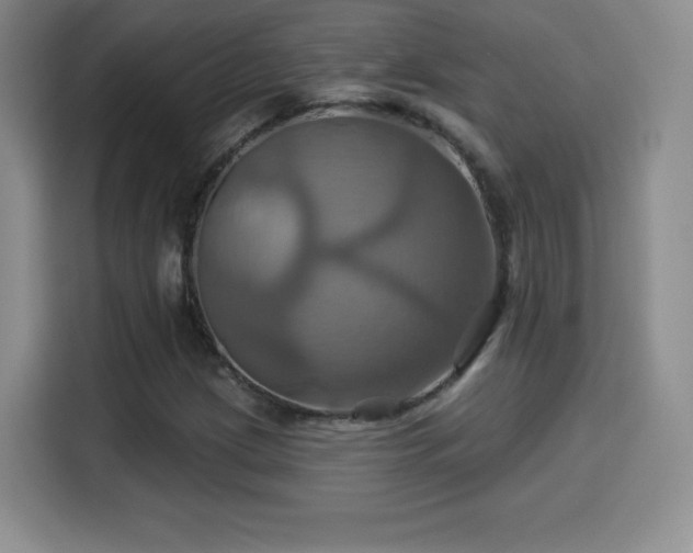 X0000114101209200910131315