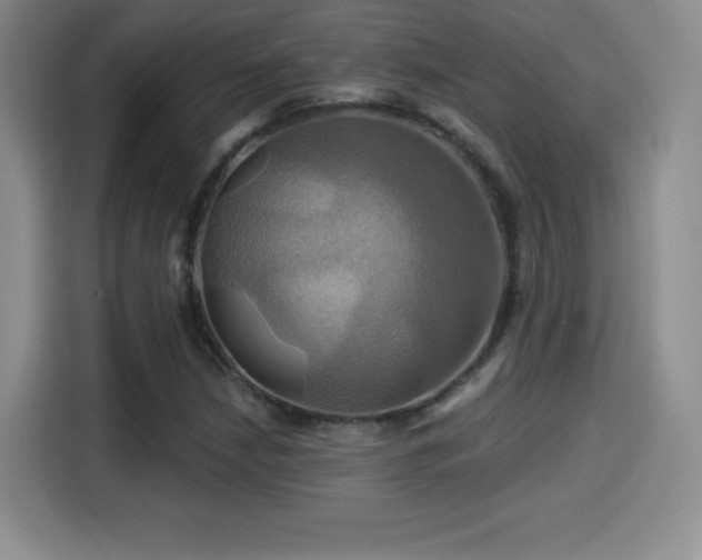 X0000114101210200910131315