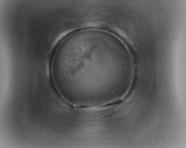 X0000114101214200910131315