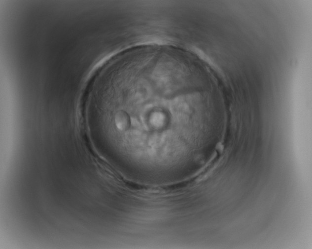 X0000114101215200910131315