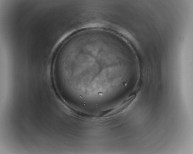 X0000114101216200910131315