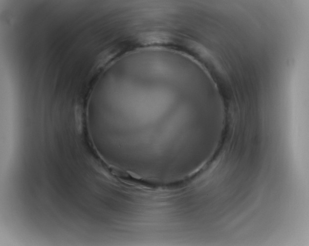 X0000114101217200910131315