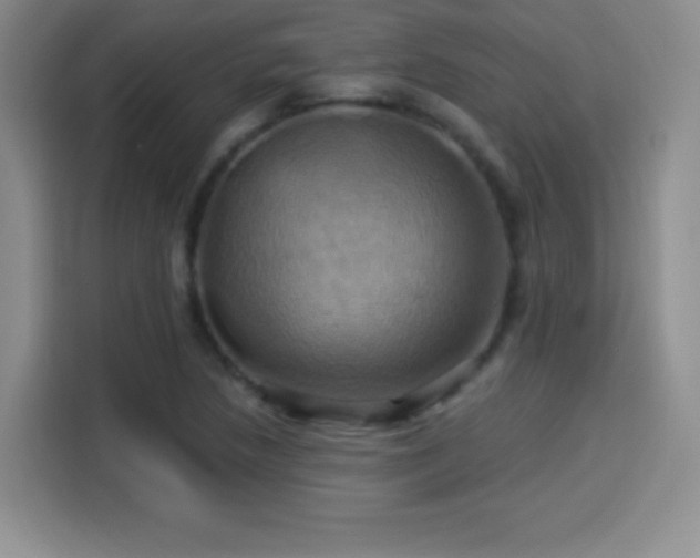 X0000114101218200910131315