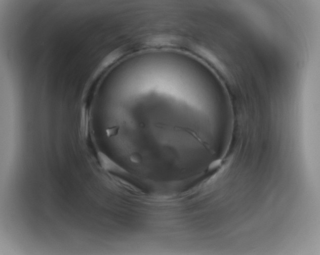 X0000114101219200910131315