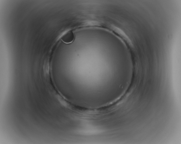 X0000114101220200910131315