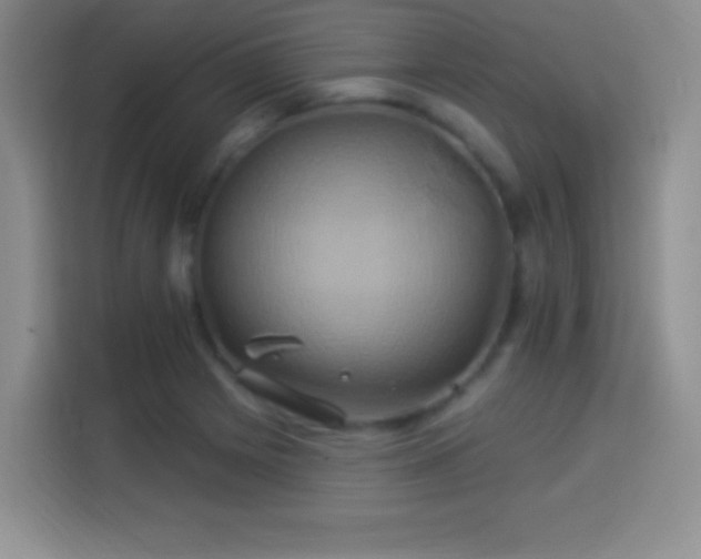 X0000114101225200910131315