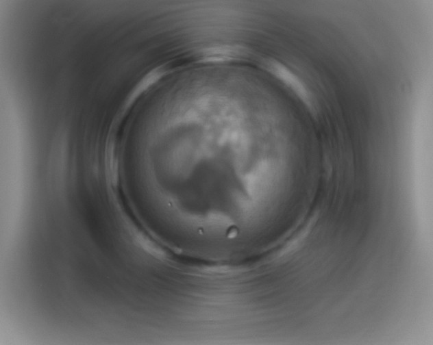 X0000114101227200910131315