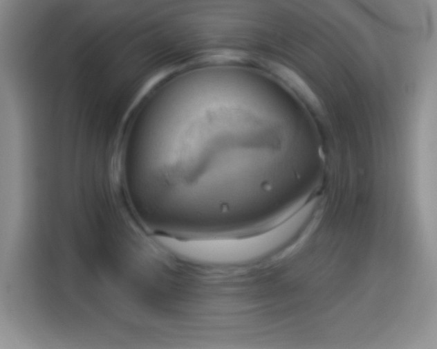 X0000114101228200910131315