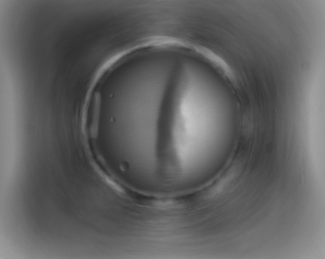 X0000114101231200910131316