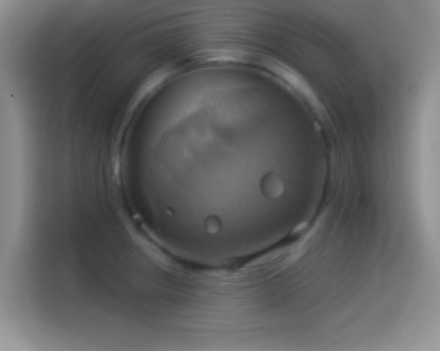 X0000114101234200910131316