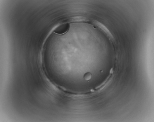 X0000114101236200910131316