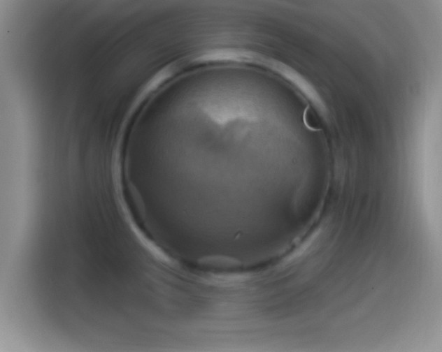 X0000114101237200910131316