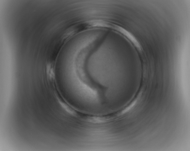 X0000114101241200910131316