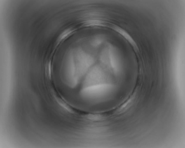 X0000114101242200910131316