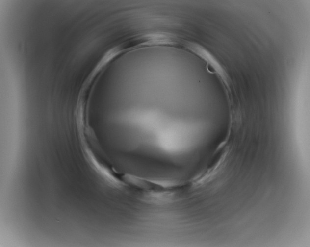 X0000114101243200910131316