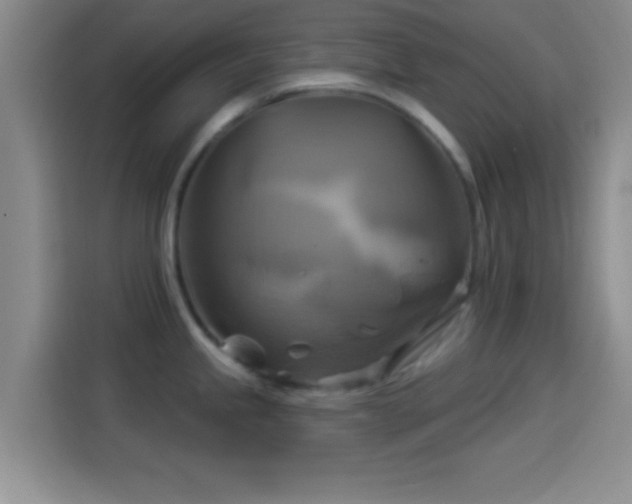 X0000114101245200910131316