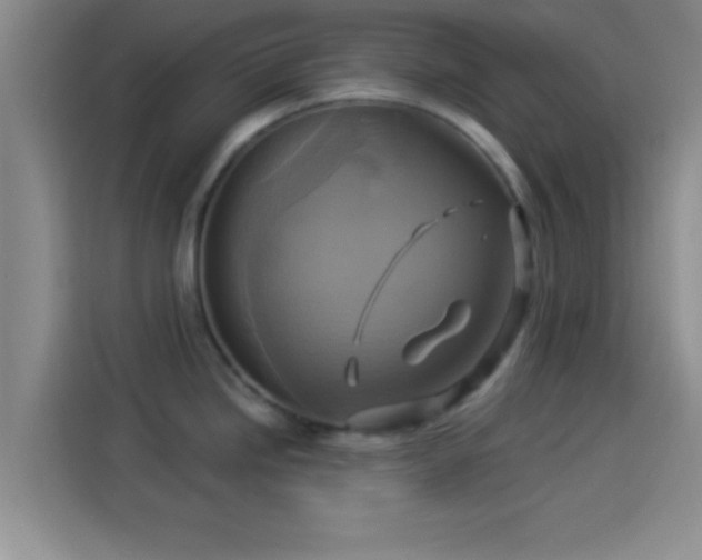 X0000114101246200910131316