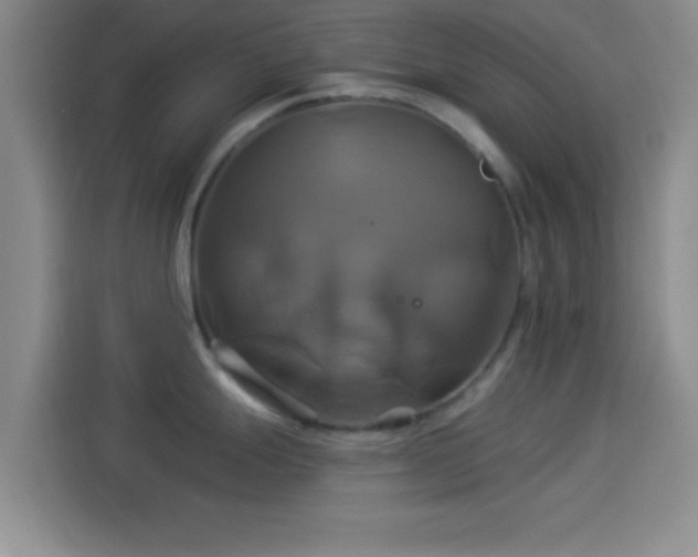 X0000114101247200910131316