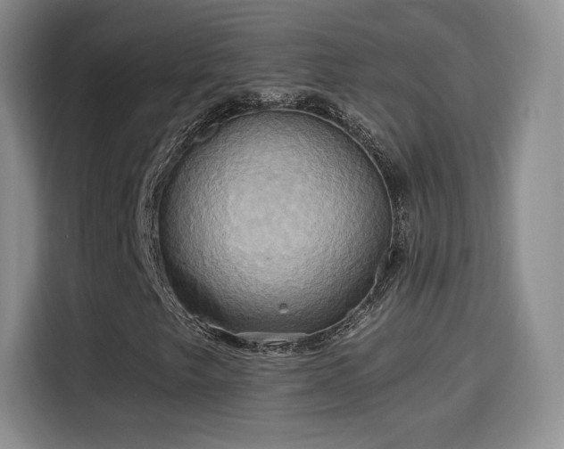 X0000114101249200910131315