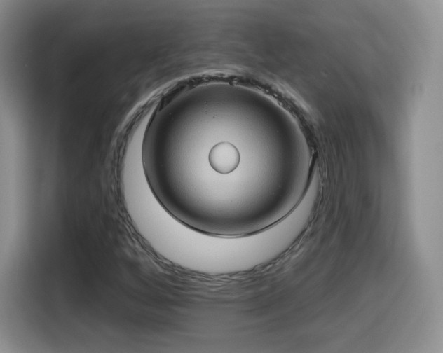 X0000114101256200910131315