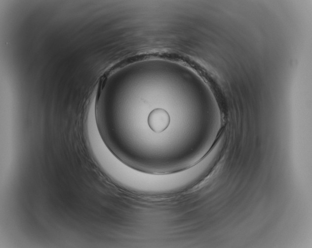 X0000114101257200910131315