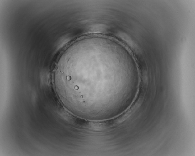 X0000114101258200910131315