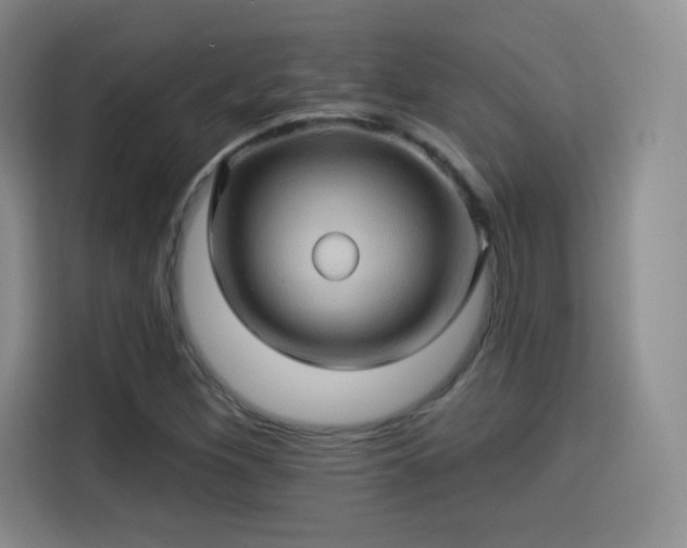 X0000114101260200910131315