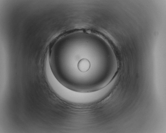 X0000114101261200910131315