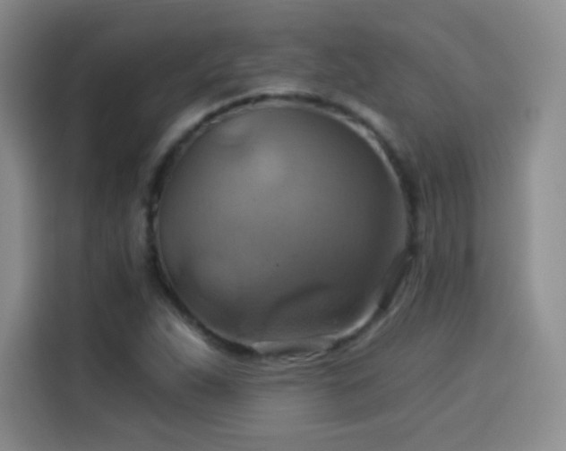 X0000114101263200910131315