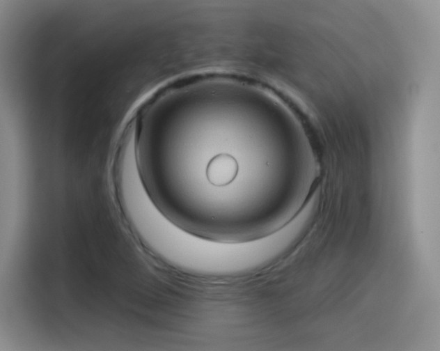 X0000114101264200910131315