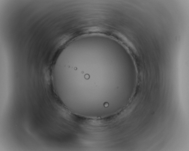 X0000114101266200910131315