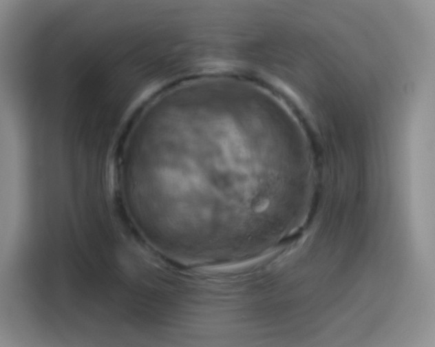 X0000114101267200910131315