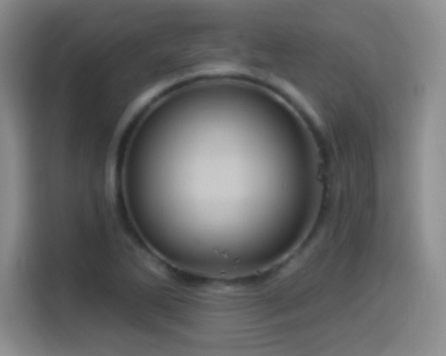 X0000114101270200910131315