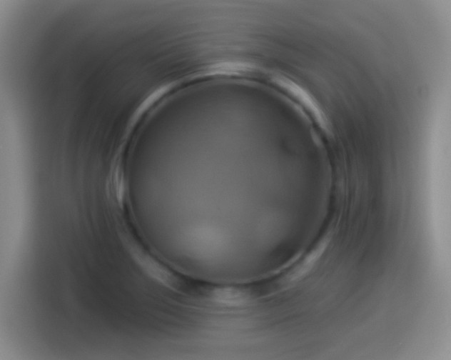 X0000114101275200910131315