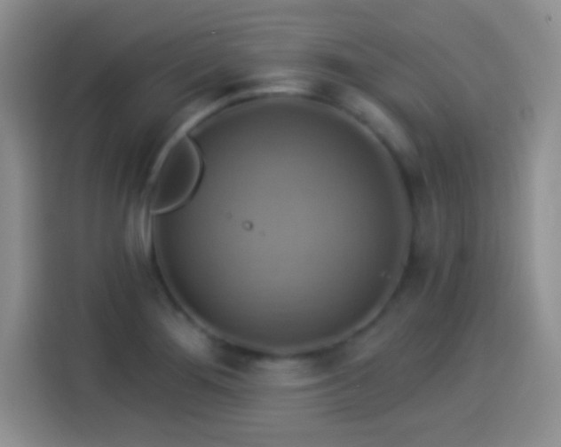 X0000114101276200910131315