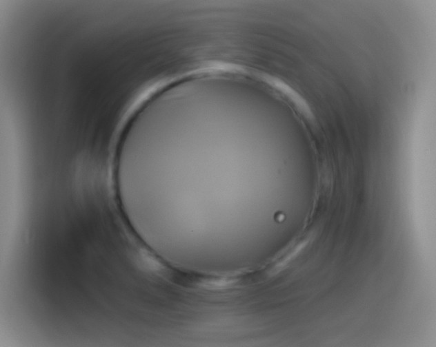 X0000114101278200910131315