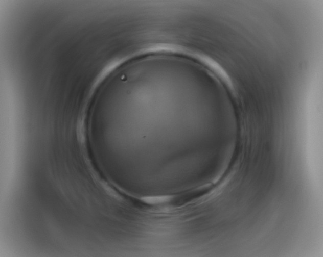 X0000114101279200910131315