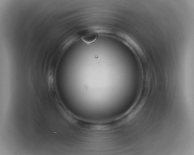 X0000114101281200910131315