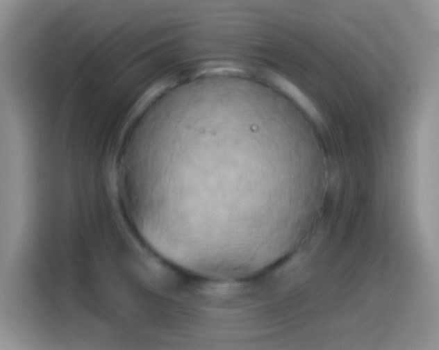 X0000114101282200910131315