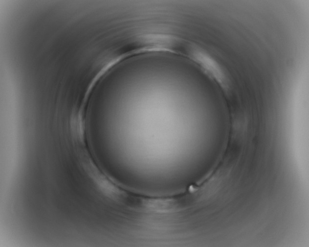 X0000114101284200910131315