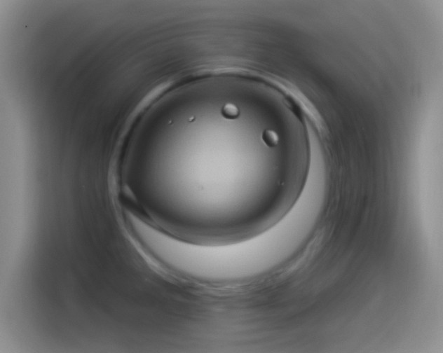 X0000114101285200910131315