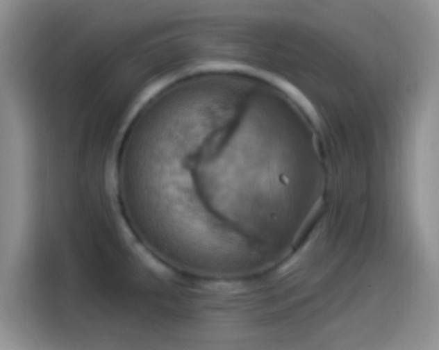 X0000114101287200910131315