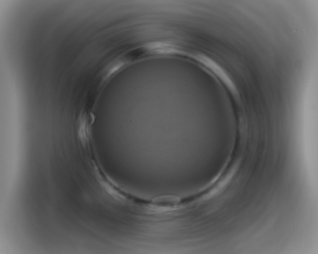 X0000114101289200910131315