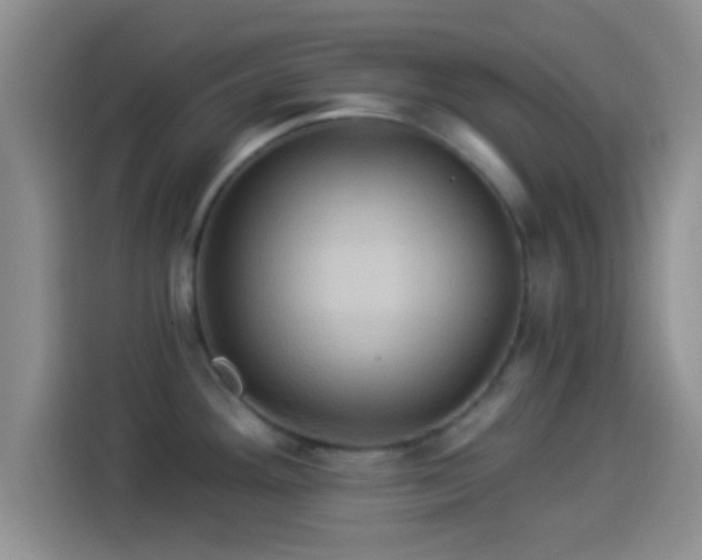 X0000114101292200910131315