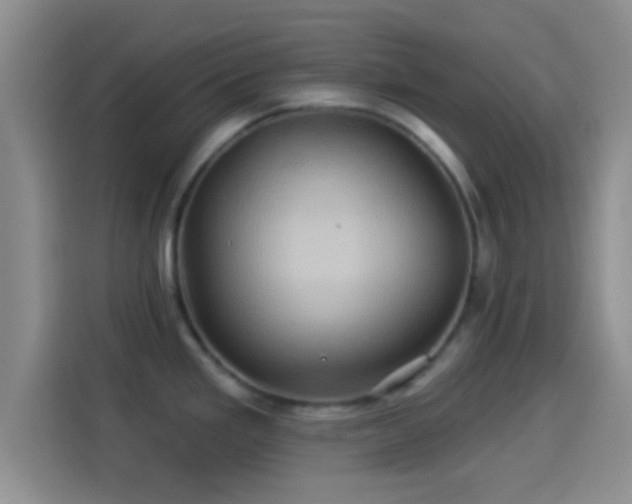 X0000114101293200910131315