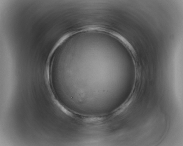 X0000114101294200910131315