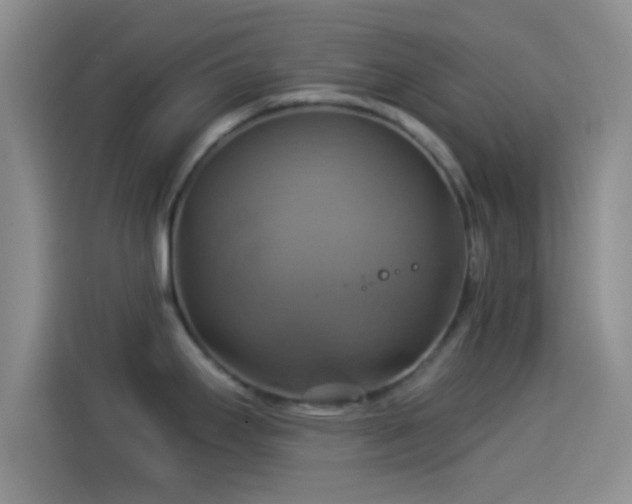 X0000114101295200910131315