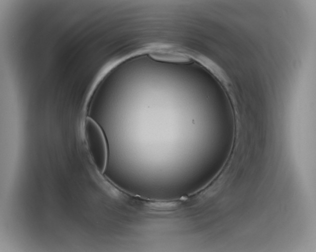 X0000114101296200910131314