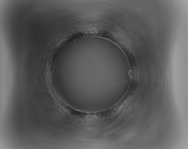 X0000114101297200910131314