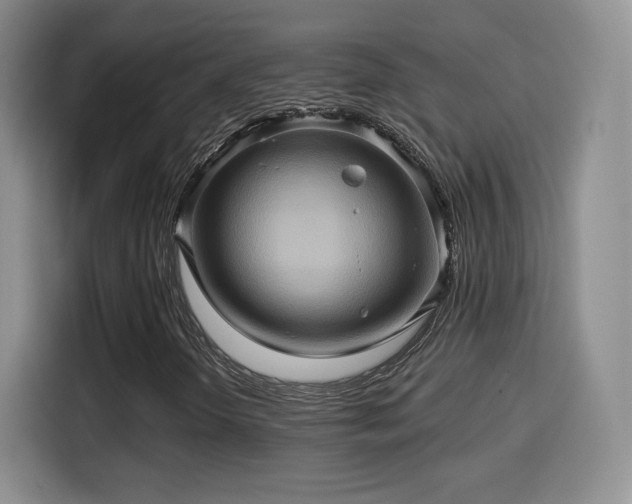 X0000114101298200910131314